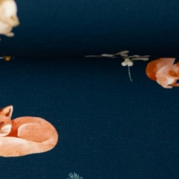 Jersey | Woodanimals | Fuchs Hase Waschbär Reh | jeansblau